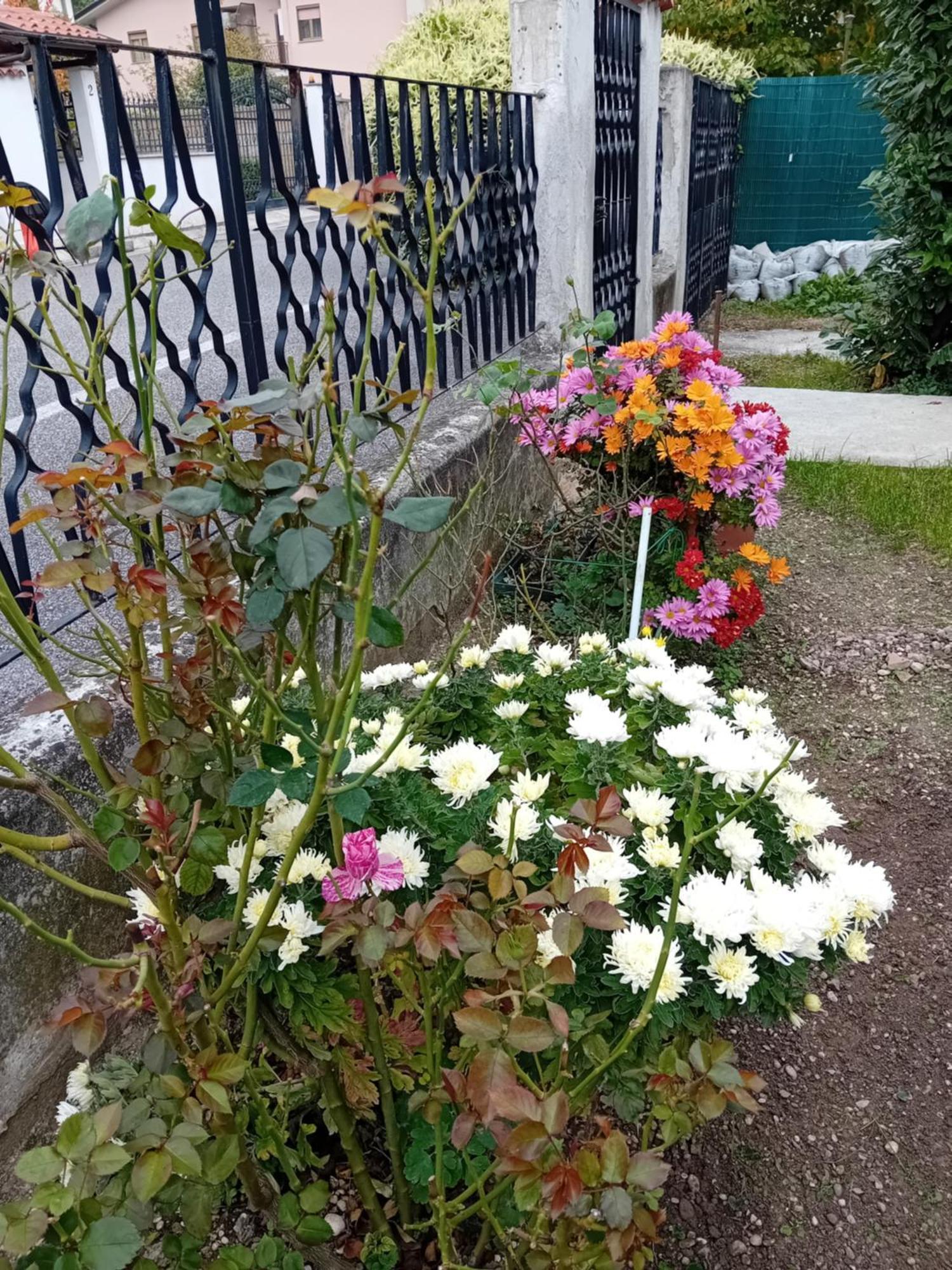 Villa Azzurra Monfalcone Kültér fotó